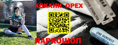 индика Кулебаки