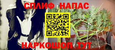 spice Кунгур
