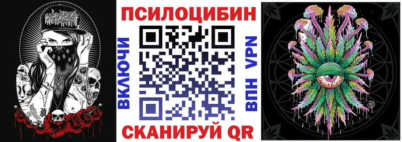 купить наркотики сайты  Темрюк  Галлюциногенные грибы MAGIC MUSHROOMS 