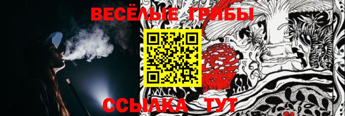Псилоцибиновые грибы MAGIC MUSHROOMS Темрюк