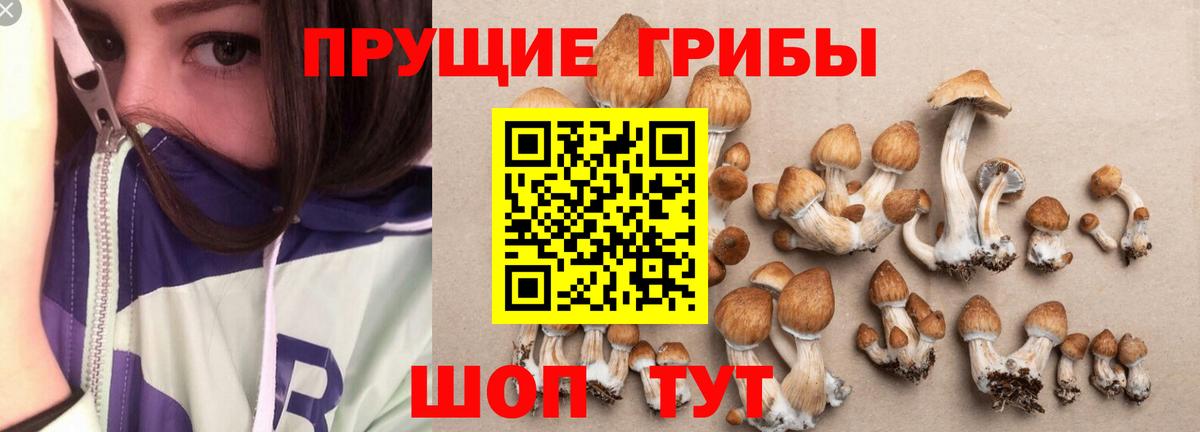 Галлюциногенные грибы Cubensis  Вход с VPN  Темрюк 