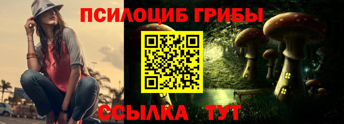 Псилоцибиновые грибы мицелий Темрюк